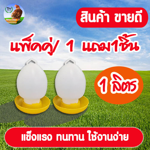 ขวดน้ำไก่เกรด A ขนาด 1 ลิตร (เเพ็คคู่ 1 ชิ้น เเถม 1) เหลือง
